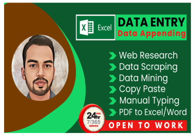 I will do excel data entry,  web research,  copy paste,  data collection,  data mining