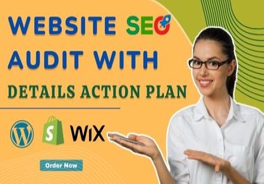 Professional Website SEO Audit report with a detailed Action plan