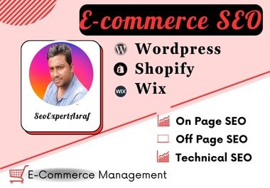 Complete Ecommerce SEO service for Shopify,  Wix or Wordpress websites and Increase Expected Sales