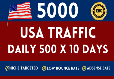 5000+ Real Human Traffic from USA to your website url