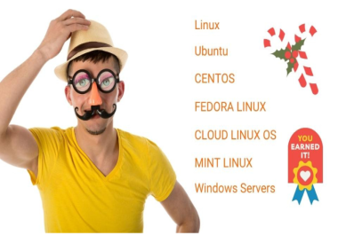 Setup windows and linux on virtual private servers vps