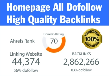 Create 19 PBN with high quality DR 70 off page seo authority backlinks
