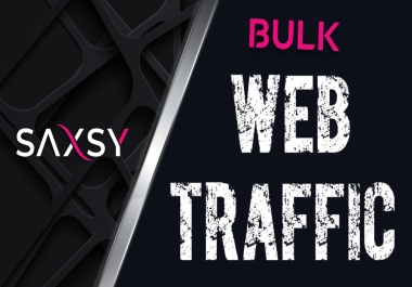 Bulk Traffic 100,000 for your website