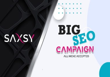BIG Seo Campaign for all niche websites