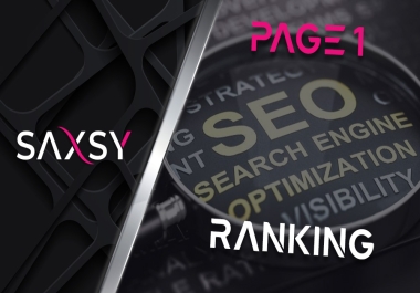 Page 1 ranking for Google Any niche website