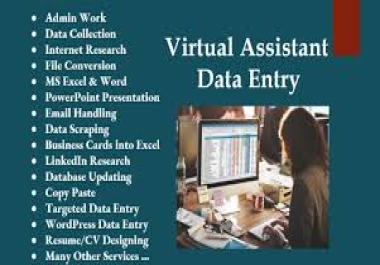 I will do all types of professional data entry according to your timie limit