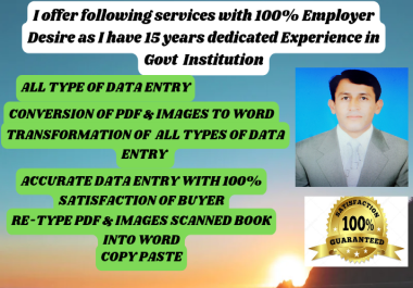 I will do Expert Data Entry Services