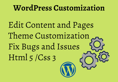 I will install and Customise your WordPress Website Theme