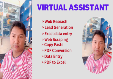 Data entry,  virtual assistant,  web research and Data scraping