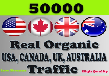 50000 Country Targeted Organic Website Traffic