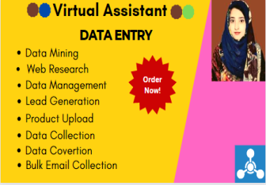 I will virtual assistant data entry lead generation research admin