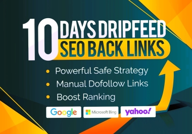 Top Rankings with Our 10-Day Dripfeed SEO Backlinks Service