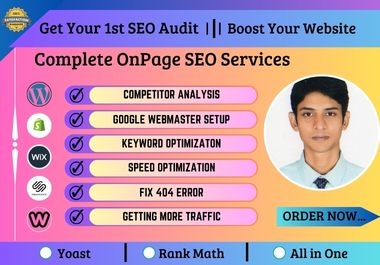 I will do On-Page SEO in manual and lead in the top rank google search