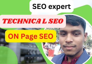 I will do website onpage SEO and technical optimization service of wordpress site Google Rank