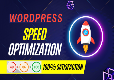 I will wordpress page speed optimization with google speed increase