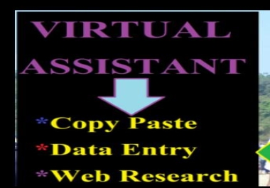 I will be virtual assistant for data entry web research typing excel