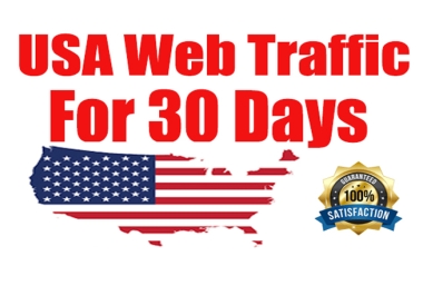 I will provide usa web traffic for your website