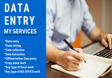 I will do best professional any type of Data entry for you