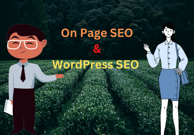 I will complete website on page SEO optimization service of WordPress site