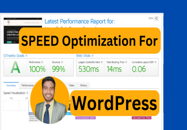 Speed Optimization for WordPress Website