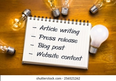 I will write 1000+ unique article/ blog post any niche within 24 hours