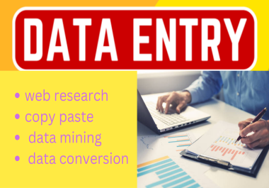 Provide quality data entry,  copy paste and web research service