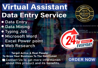 Professional Virtual Assistant for Data Entry,  Web Scraping,  Excel,  Typing,  and Copy Paste Work