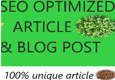 I will write seo optimized article and blog post