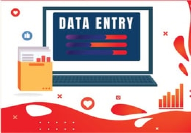 I do professional data entry for you