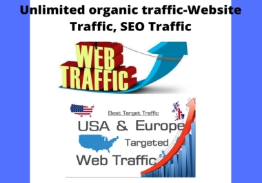 Organic USA Traffic 30 days For Website