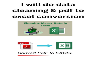 I will do data cleaning & pdf to excel conversion
