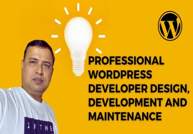 Professional WordPress Developer Design,  Development,  and Maintenance