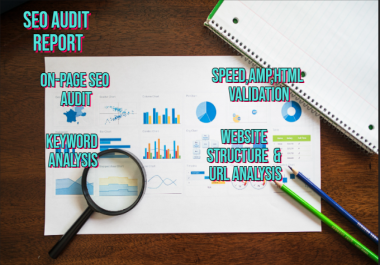 I will perform SEO AUDIT on your website