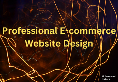 Professional E-commerce Website Design