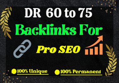 High Quality DR 60 to 75 Powerful Seo Backlinks Service Fast Rank