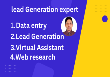 I will do B2B lead generation and Data entry properly