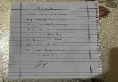 I will handwrite your daily work faster and accurate