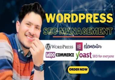 Boost Your Website's Ranking with Professional On-Page and Off-Page SEO Services