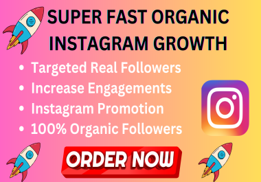 I will do organic instgram marketing and targeted real follower for your business
