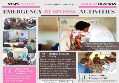 Newsletter Designing As Per Your Demand