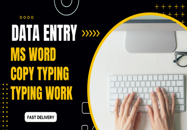I will do accurate data entry and MS word typing