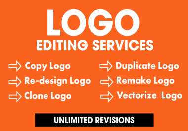I will copy duplicate redesign remake or vectorize your logo