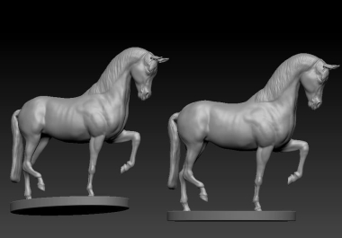 I will do 3d animal model,  realistic model,  3d design 3d animation texturing 3d rigging