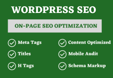 I will do SEO on page optimization and technical onpage of wordpress website