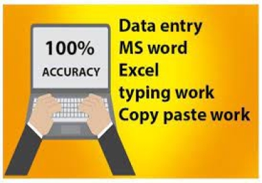 Professional Data Entry Services Fast,  Accurate Typing,  Copy-Pasting,  Word,  and Excel Expert