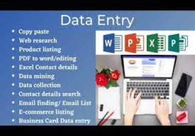 I will do excel data entry,  web research,  copy paste,  typing,  PDF to excel,  email find