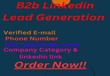 Will Do B2B Lead Generation,  Data Entry,  ANd Web Research