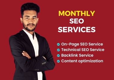 I will provide monthly SEO service for your website