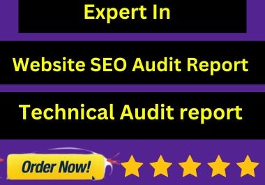 I Will provide Website Seo Audit technical Audit Report for you