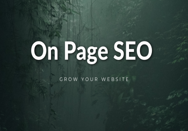 Boost Your Online Presence with Professional SEO Services